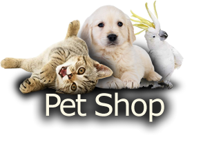 consult 243 rio e pet shop reino animal 3292 9181 click disk consult 243 rio e pet shop reino animal 3292 9181 click disk
