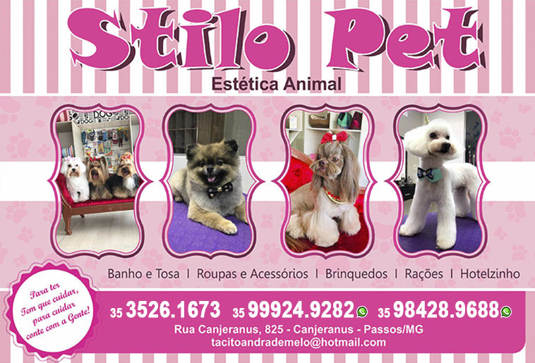 Onde Encontrar Pet Shop Banho e Tosa Santa Rita - Pet Shop Próximo