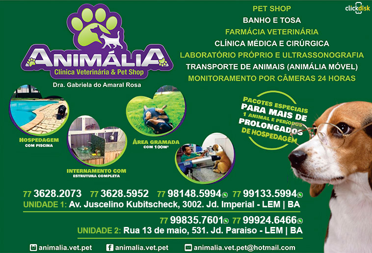 Pets no mercado de trabalho - CãoBoy Clínica Veterinária