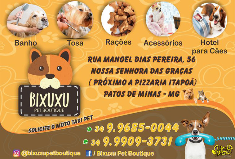 Onde Encontrar Pet Shop Banho e Tosa Santa Rita - Pet Shop Próximo