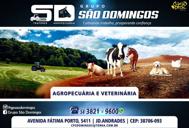 Grupo São Domingos